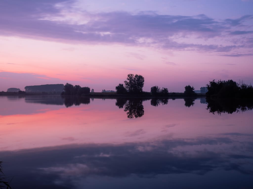 Boerekreek Covered In Magenta Colors