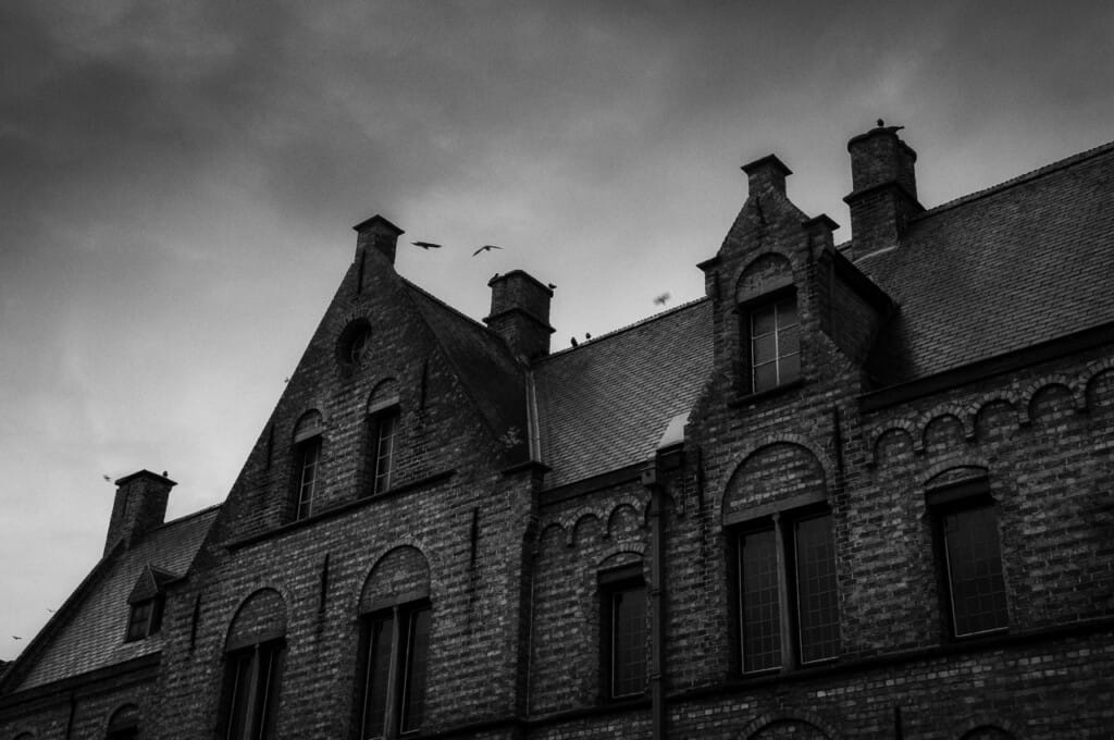 Ief 101023 Damme 0096