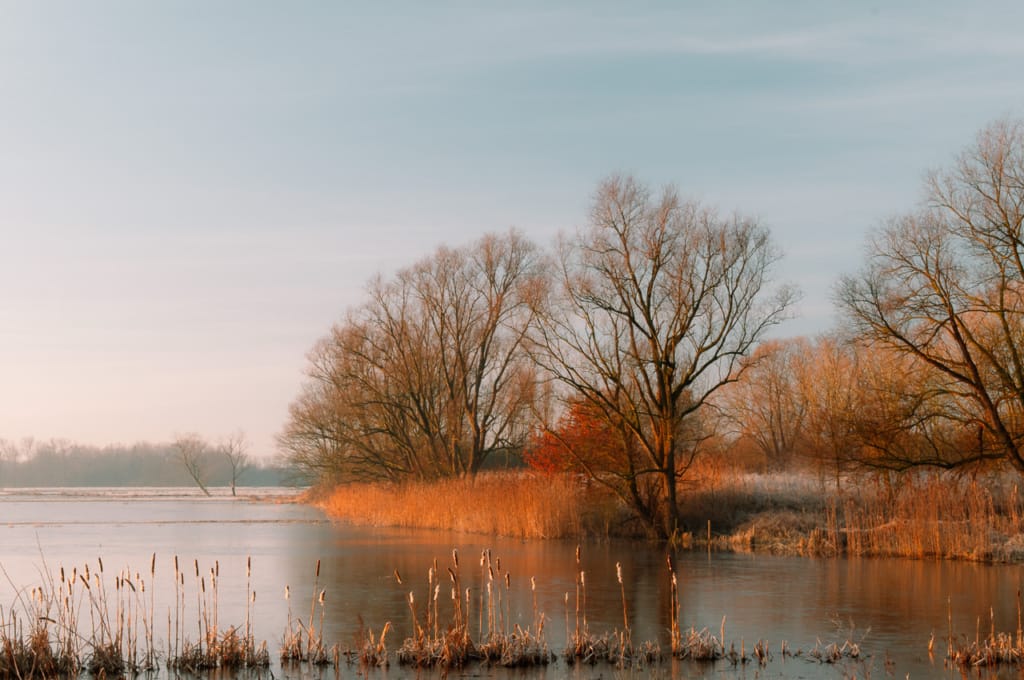 Ief 120115 Bourgoyen 0209