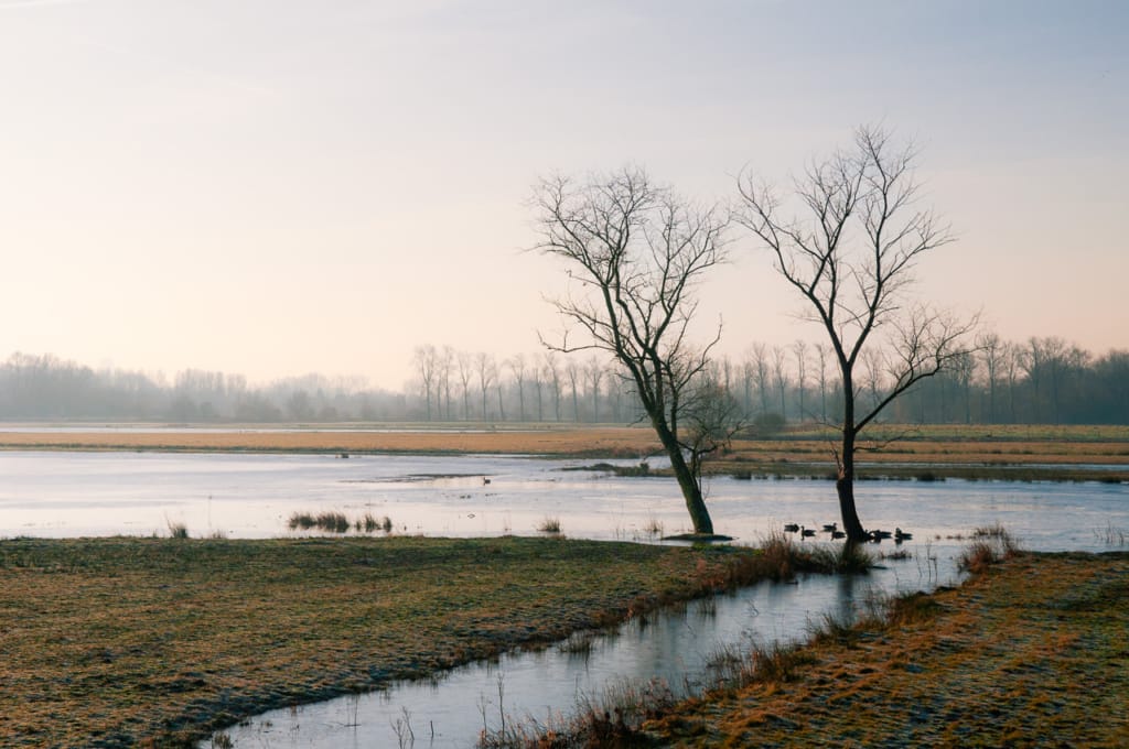 Ief 120115 Bourgoyen 0212