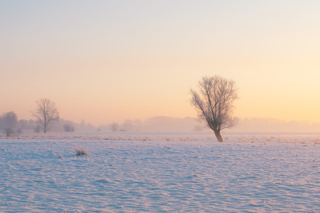 Ief 130115 Bourgoyen 0219