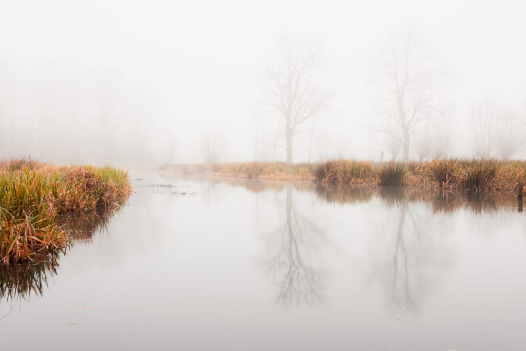 Ief 141130 Keuzemeersen 3747