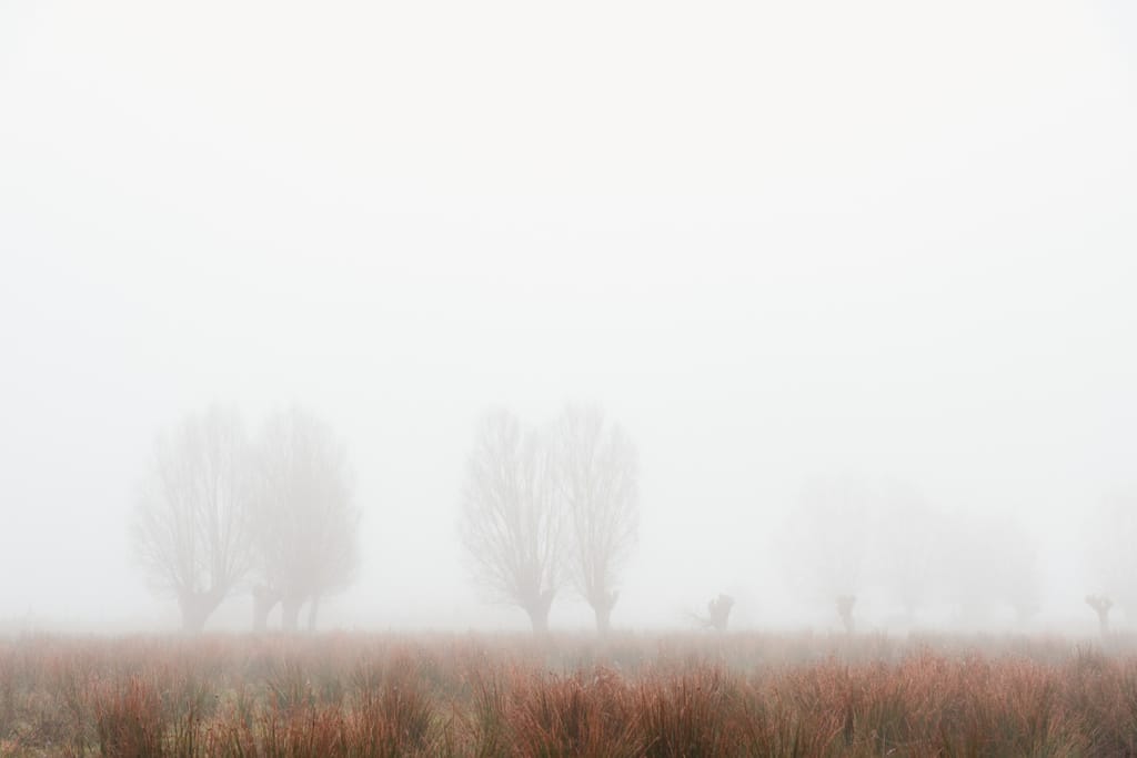 Ief 141130 Keuzemeersen 3755