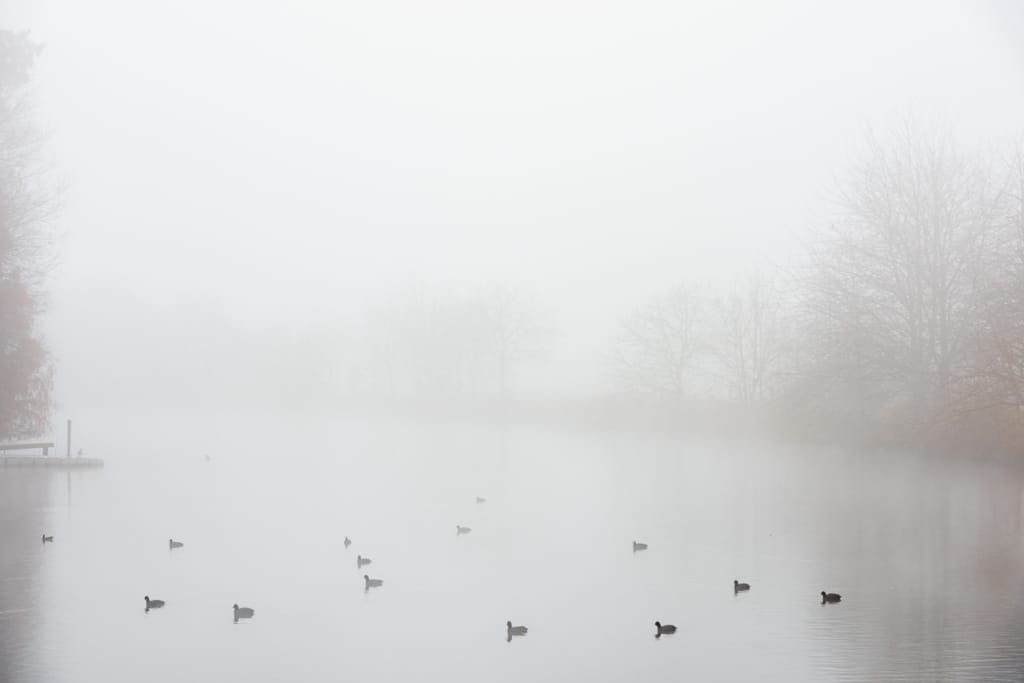 Ief 141130 Keuzemeersen 3775