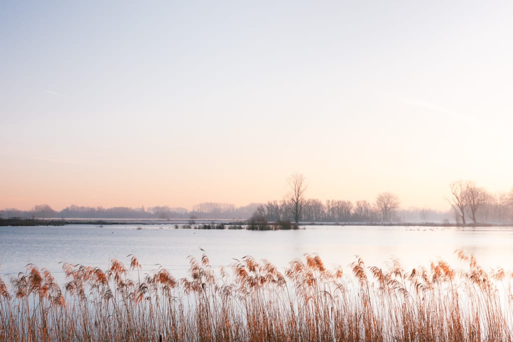 Ief 141214 Bourgoyen 0236