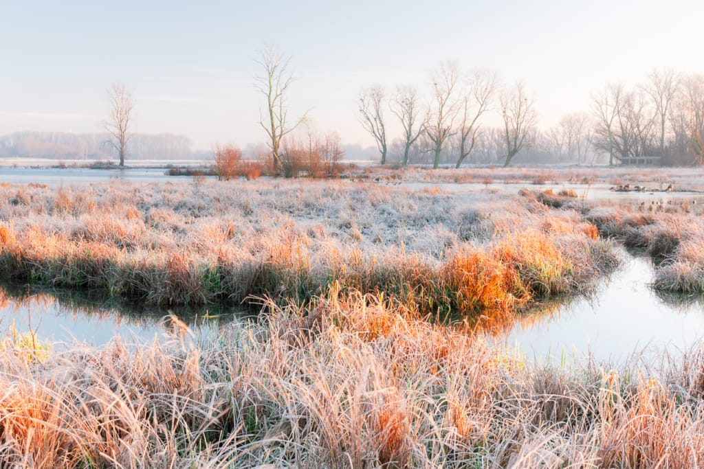 Ief 141214 Bourgoyen 0237