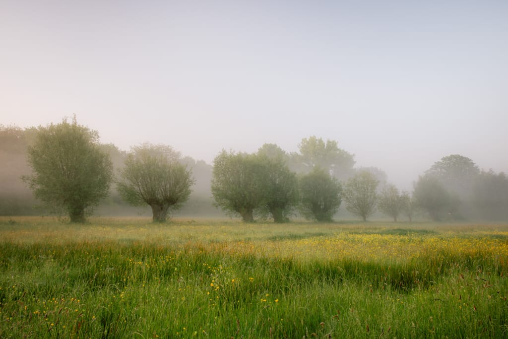 Ief 150524 Bourgoyen 0241