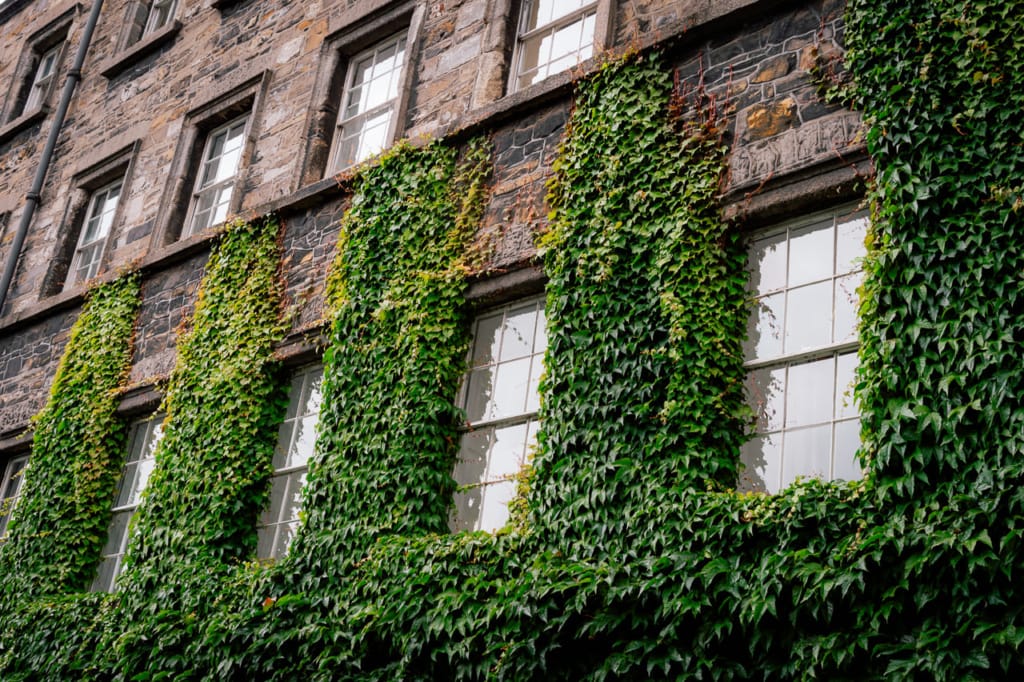 University Of Dublin