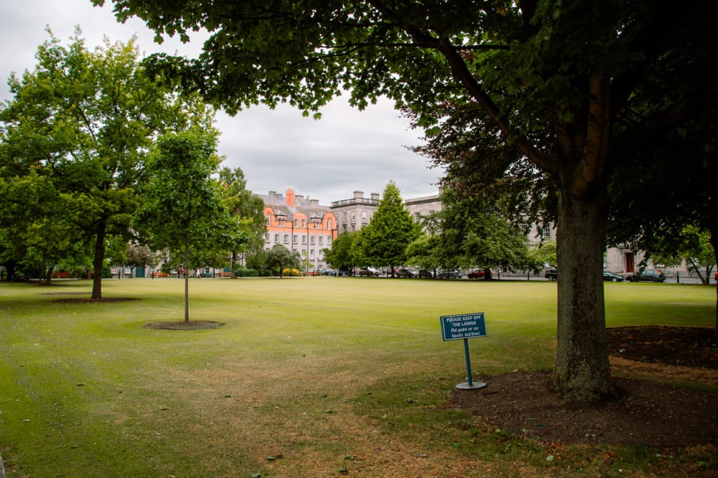 Ief 150724 Ierland 5243