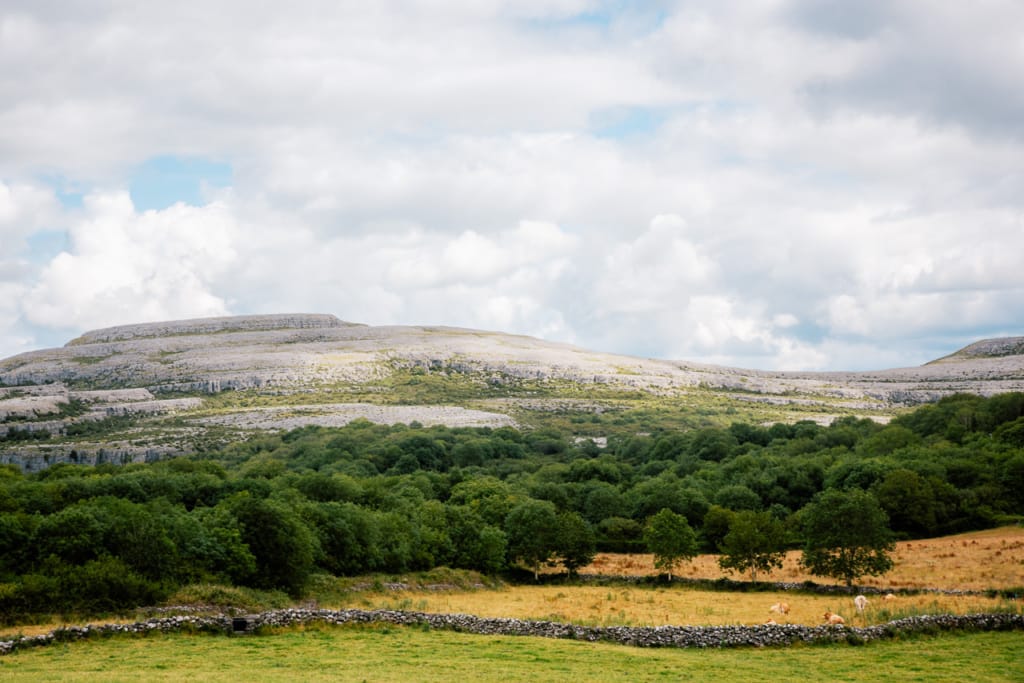 Burren
