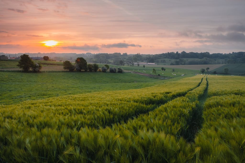 Ief 160521 Vlaamse Ardennen 1247