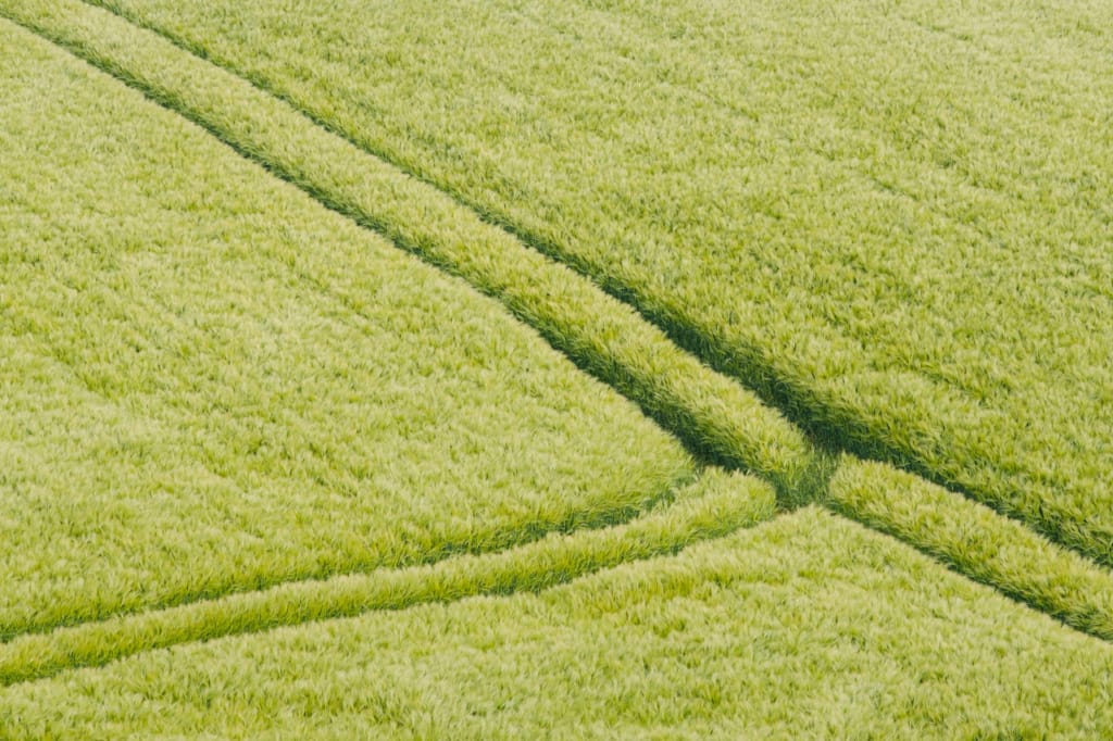 Crossroad In The Field
