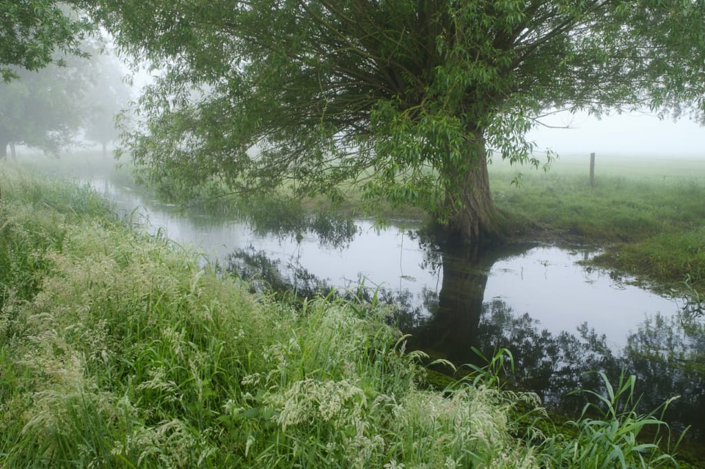 Ief 160605 Oude Kale Vallei 0057