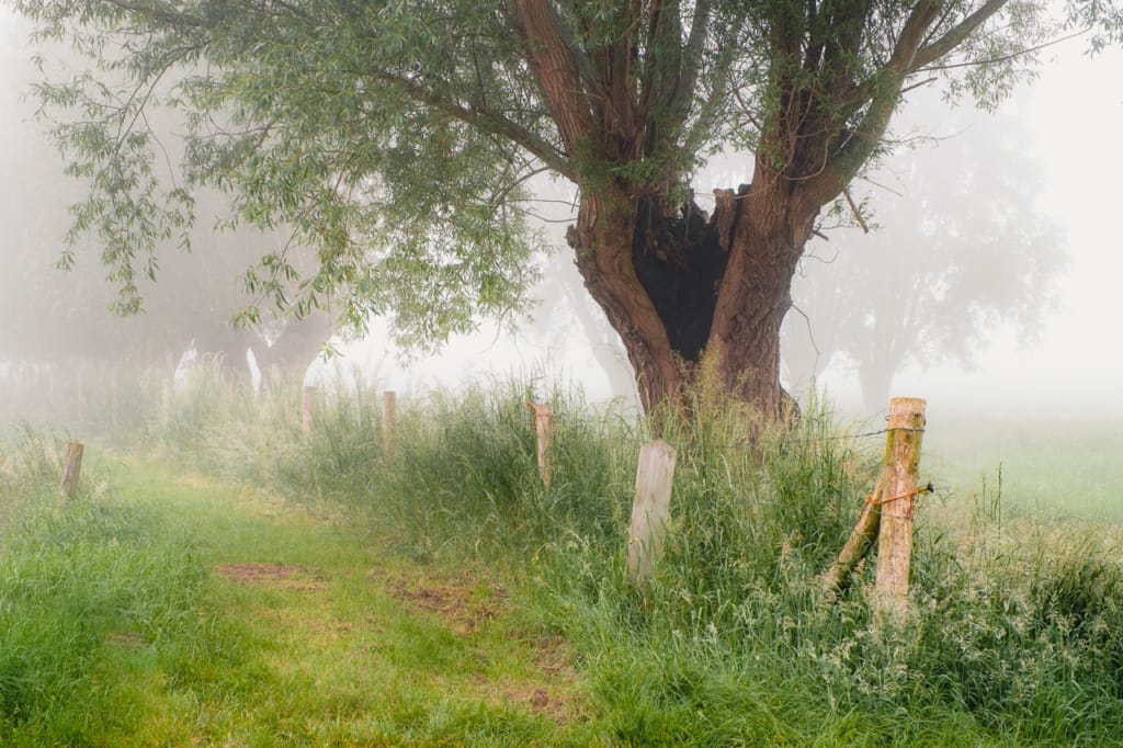 Ief 160605 Oude Kale Vallei 0092