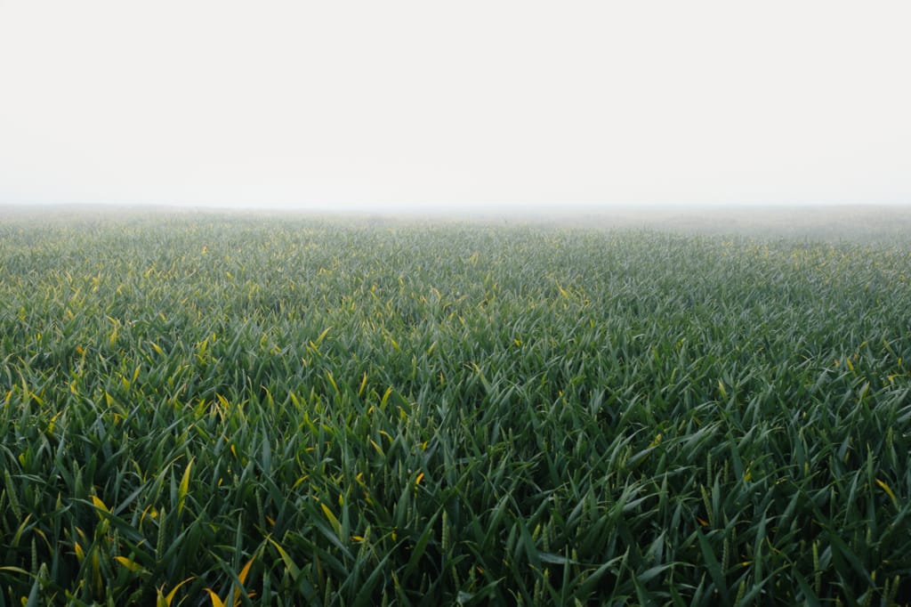 Ief 160605 Oude Kale Vallei 0149