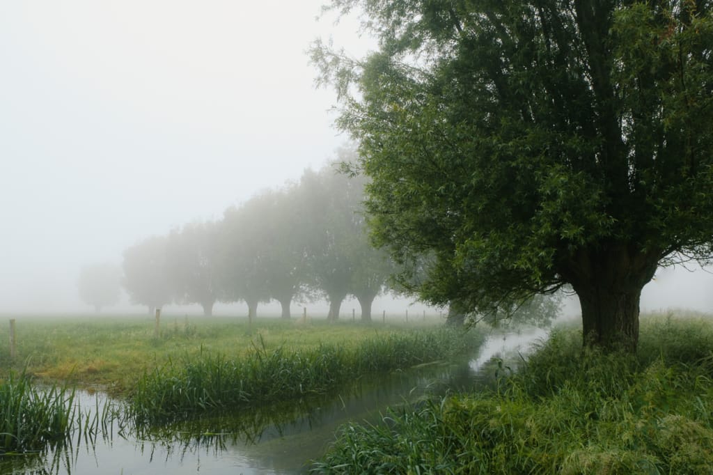 Ief 160605 Oude Kale Vallei 0171