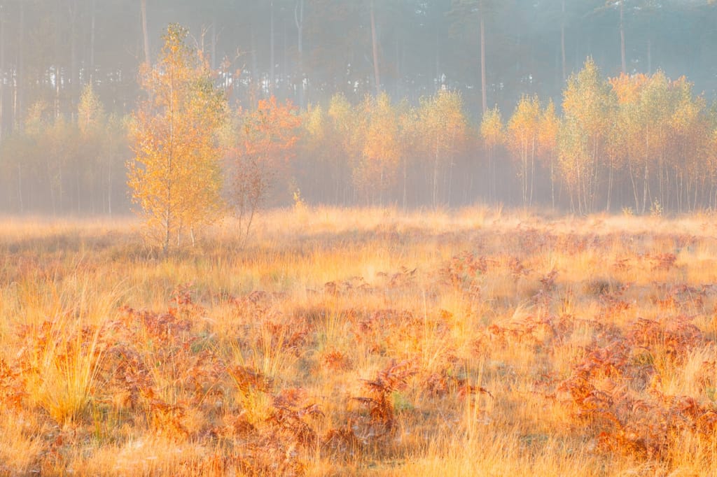 Ief 161031 Averbode 0849