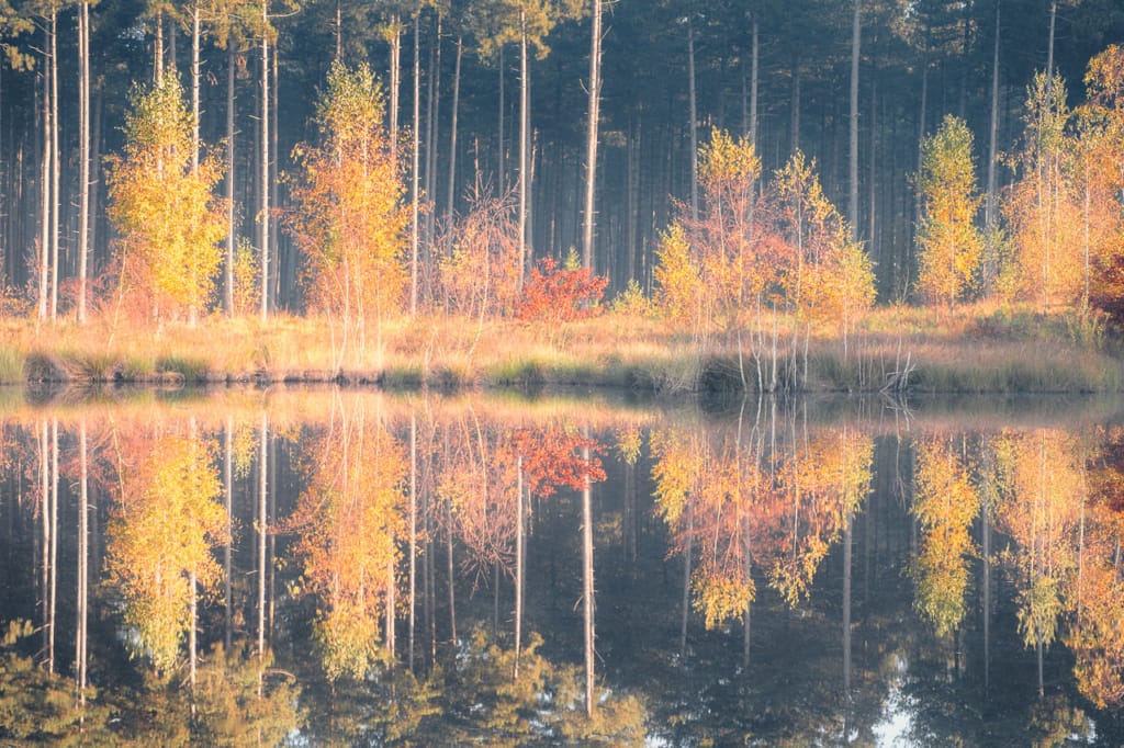 Ief 161031 Averbode 0867