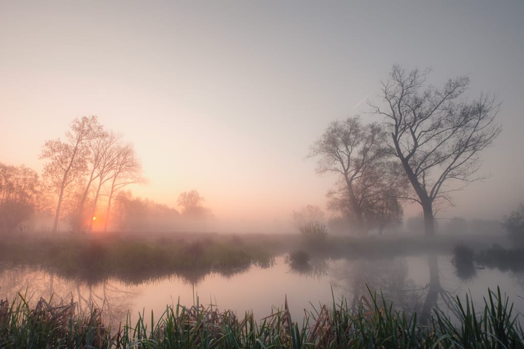 Ief 170409 Keuzemeersen 4952