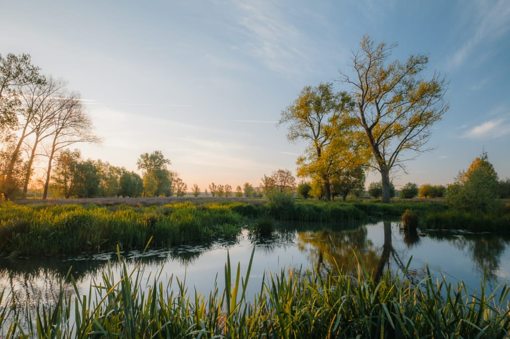 Ief 170430 Keuzemeersen 5440