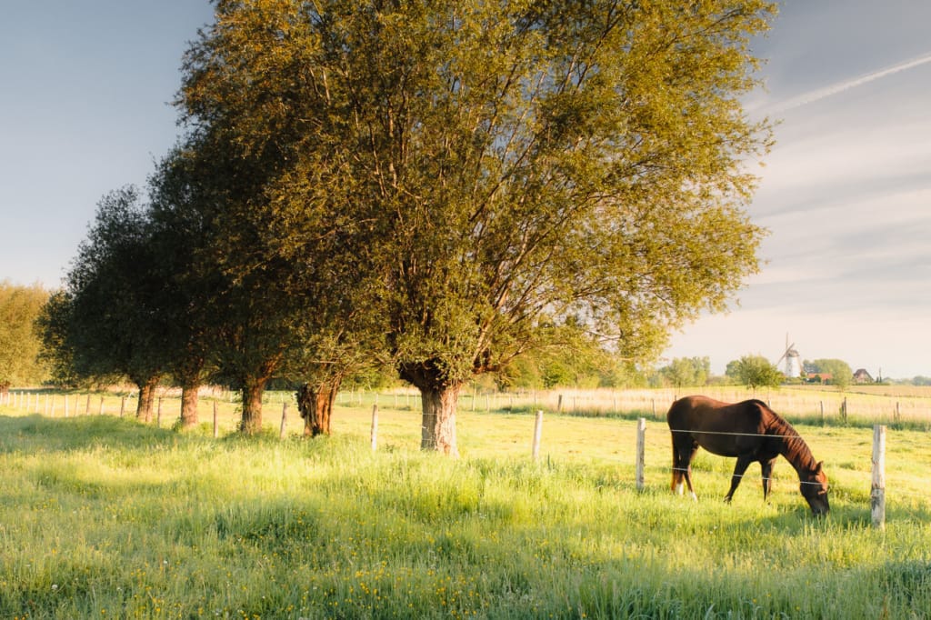 Ief 170521 Oude Kale Vallei 5694