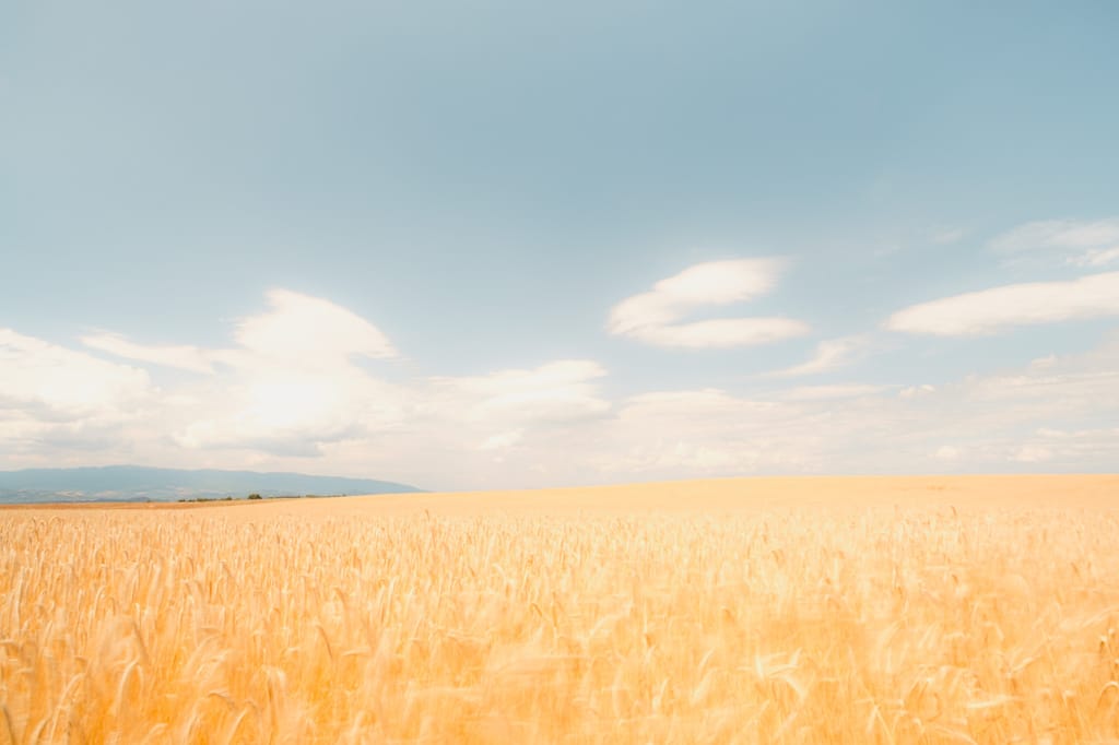 Ief 170709 Valensole 5853