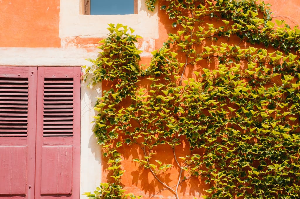 Ief 170710 Roussillon 5934