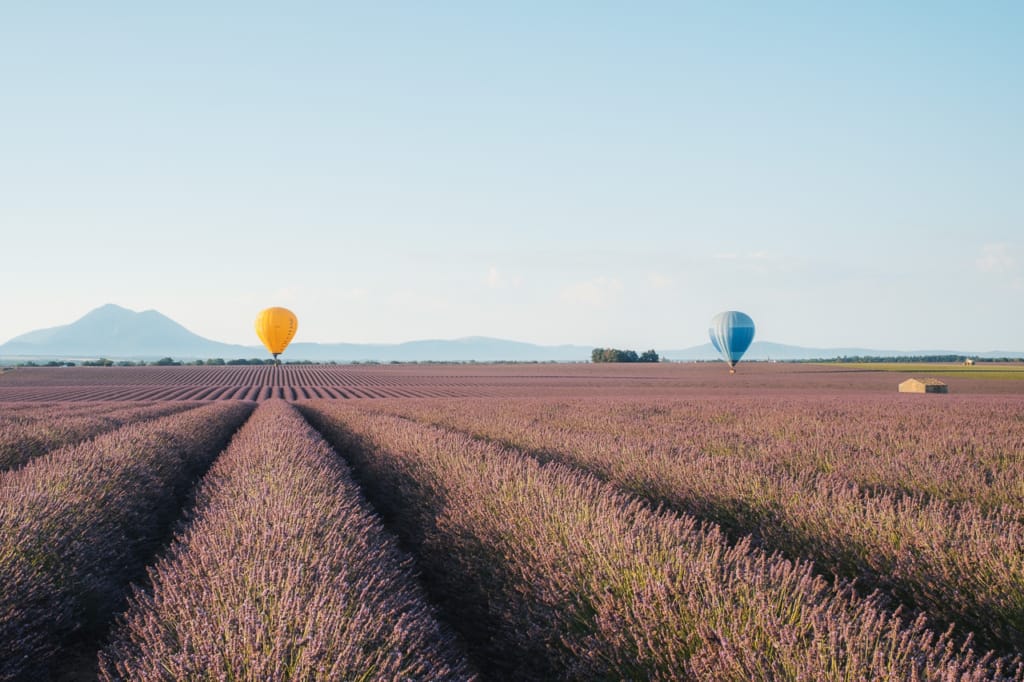 Ief 170711 Valensole 6149