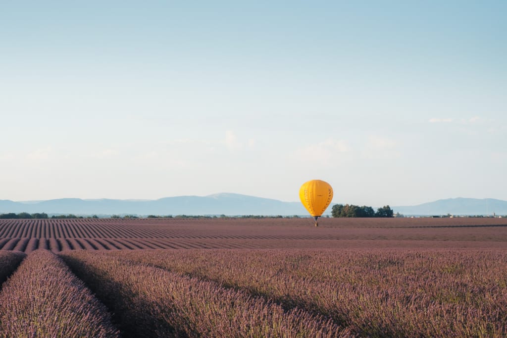 Ief 170711 Valensole 6150