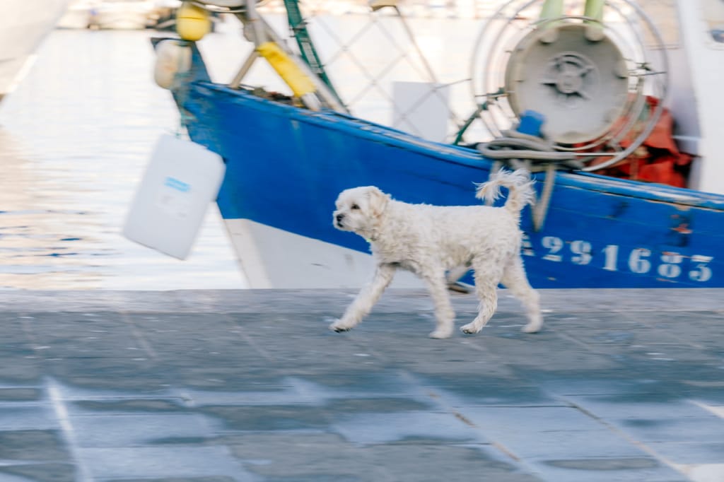 Ief 170718 Marseille 7411