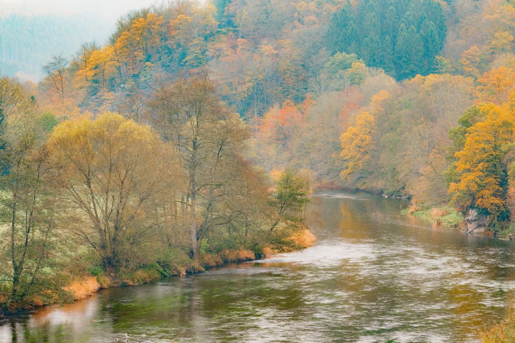 Ief 171028 Semoisvallei 7791