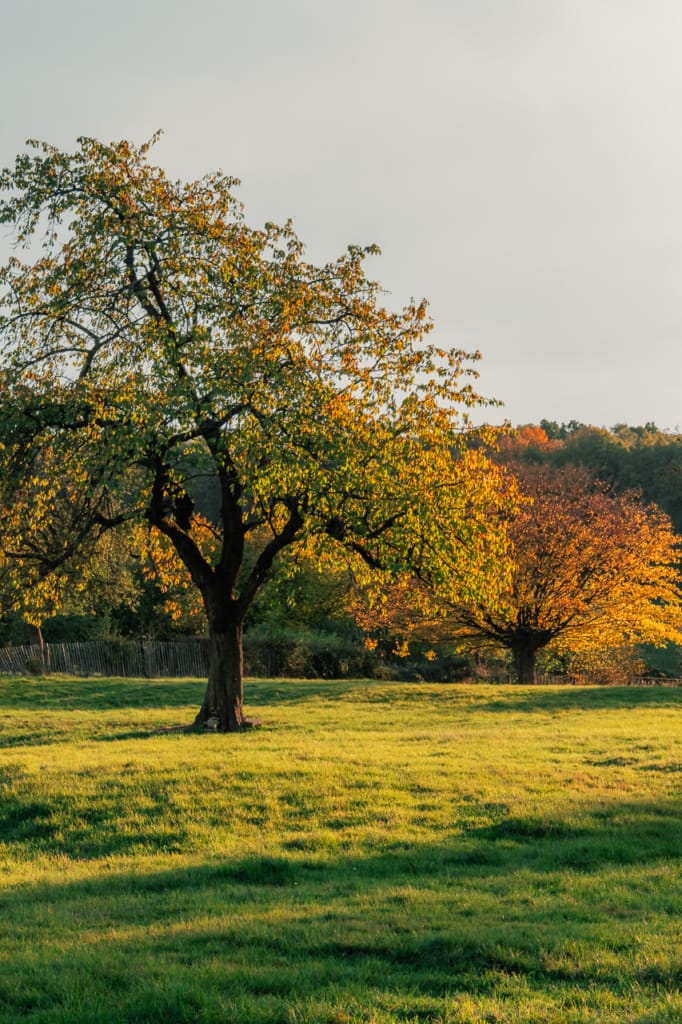 Ief 181103 Voerstreek 0040