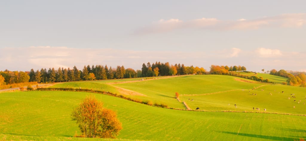 Ief 181103 Voerstreek 0068