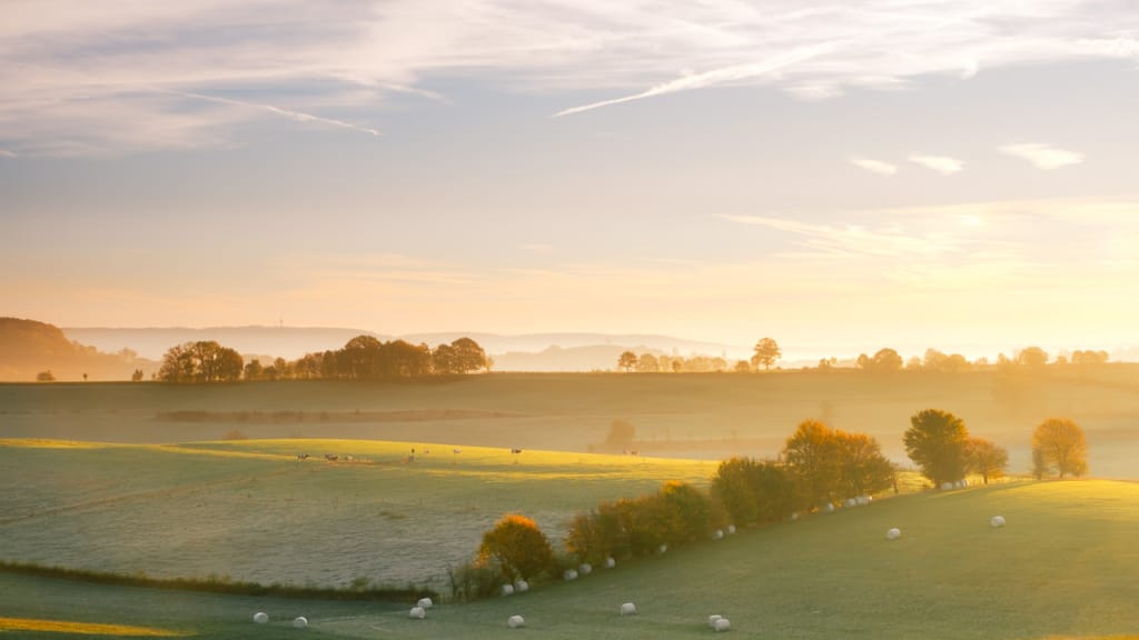 Ief 181103 Voerstreek 0109
