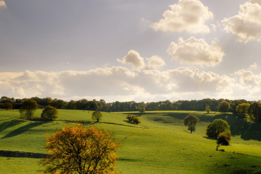 Ief 181103 Voerstreek 9994