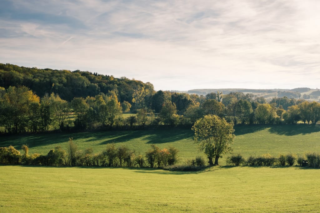 Ief 181104 Voerstreek 0219