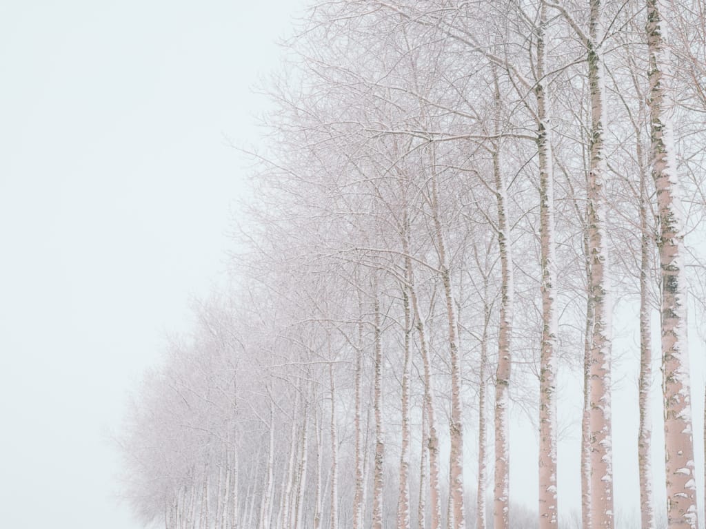 Ief 190123 Krekengebied 0355