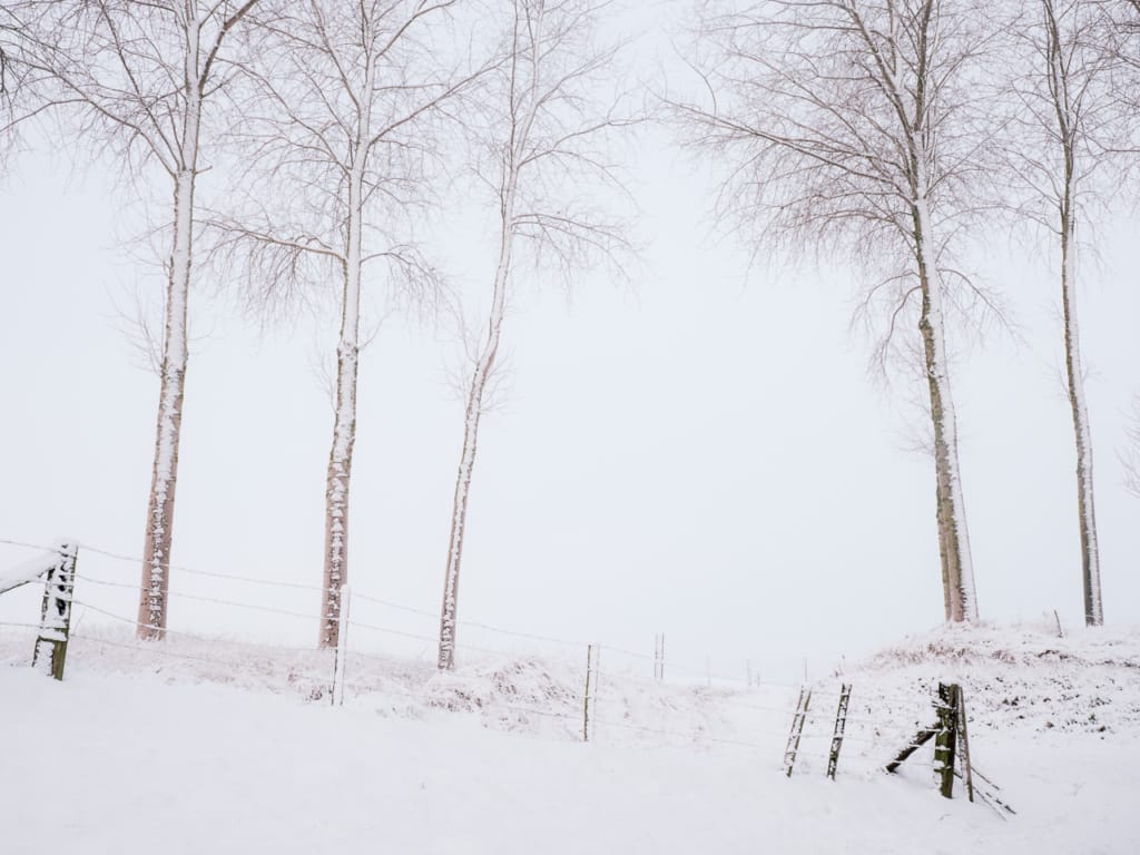 Ief 190123 Krekengebied 0363