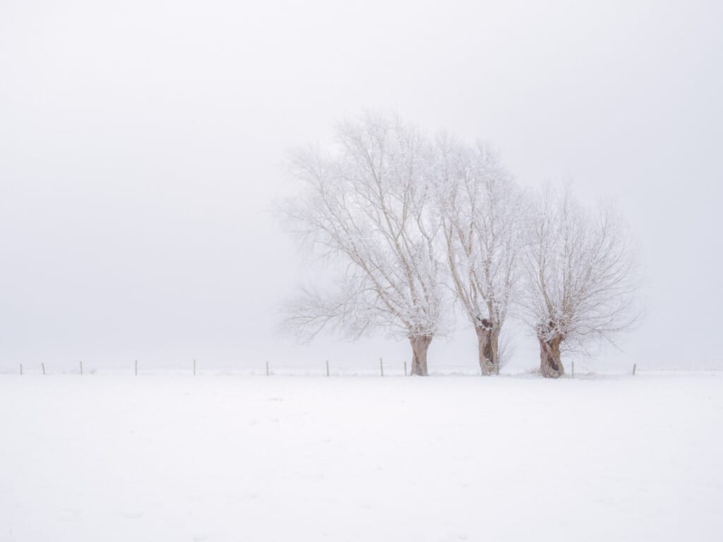 Ief 190130 Krekengebied 0583