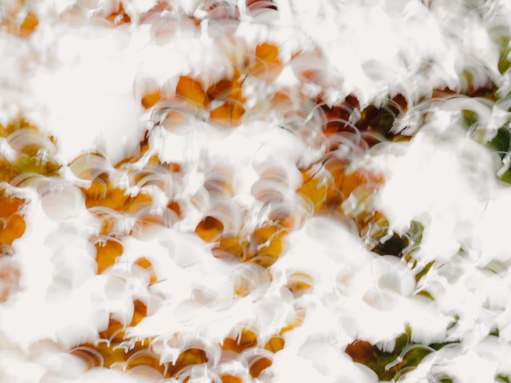 Ief 201018 Hoge Venen 0815