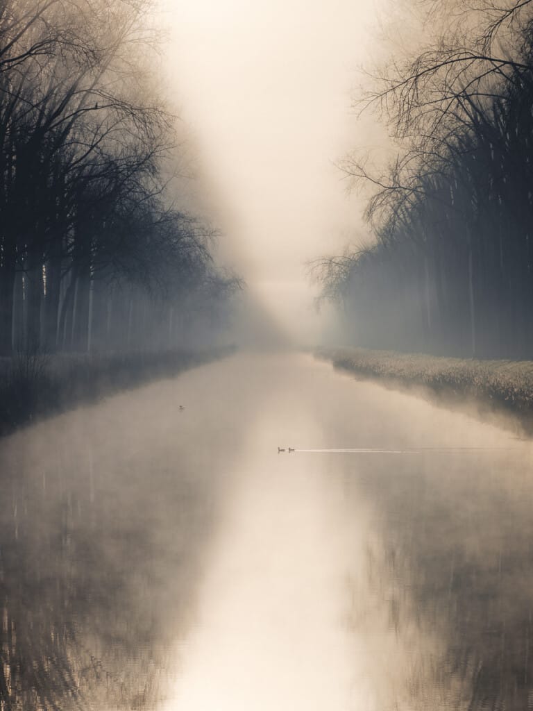 Ief 210227 Damme 1390