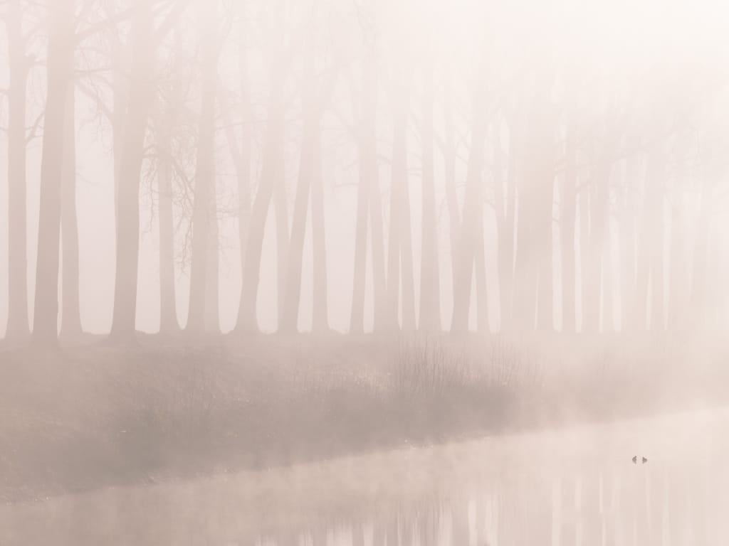 Ief 210227 Damme 1479