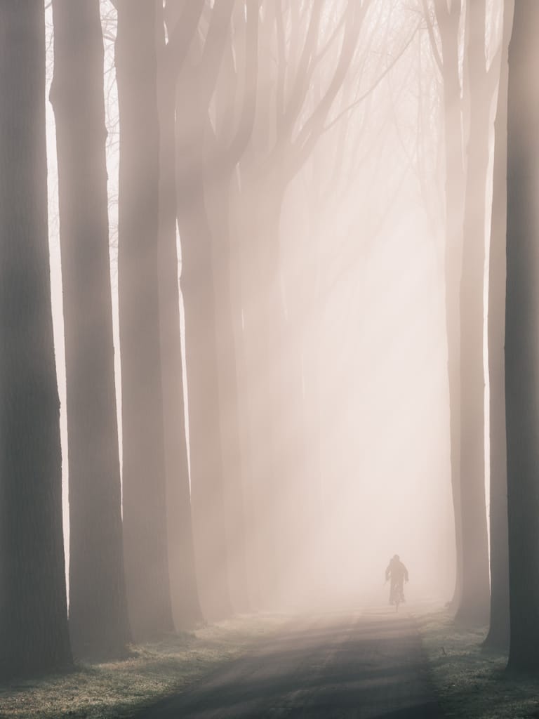 Ief 210227 Damme 1495