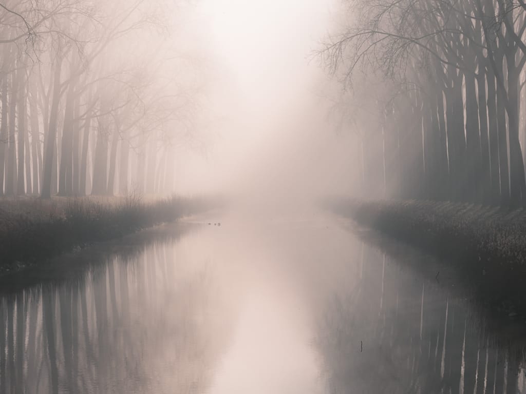 Ief 210227 Damme 1562