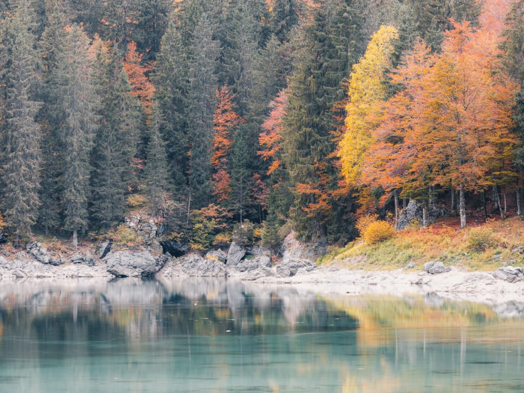 Ief 211019 Slovenië 3781