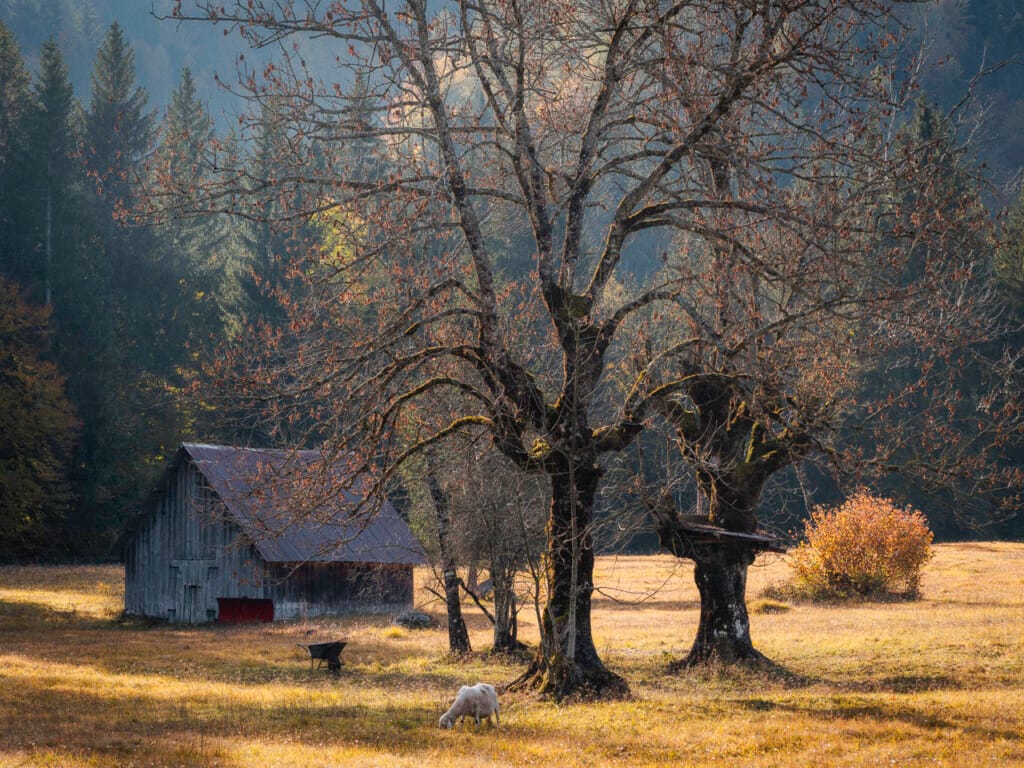 Ief 211020 Slovenië 3925
