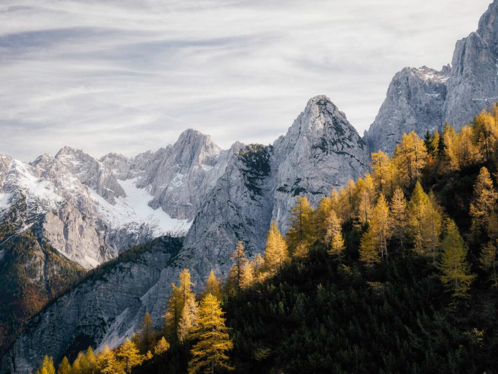 Ief 211020 Slovenië 3941