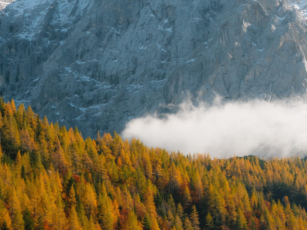 Ief 211020 Slovenië 4022