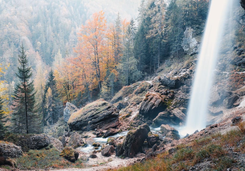 Ief 211020 Slovenië 4098