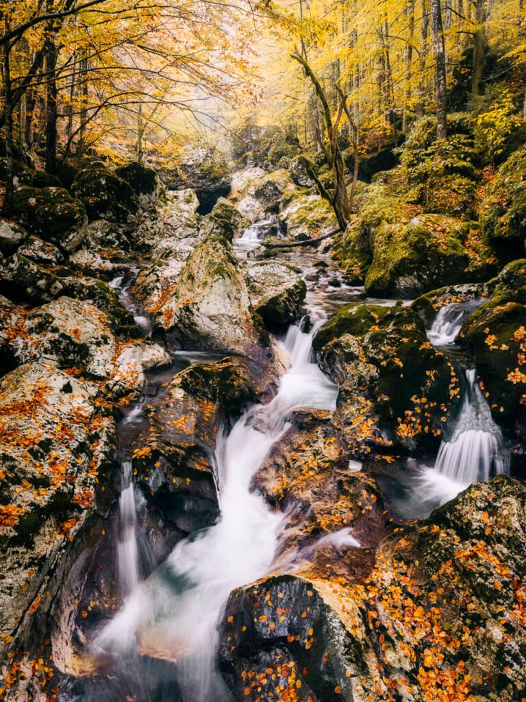 Ief 211021 Slovenië 4134